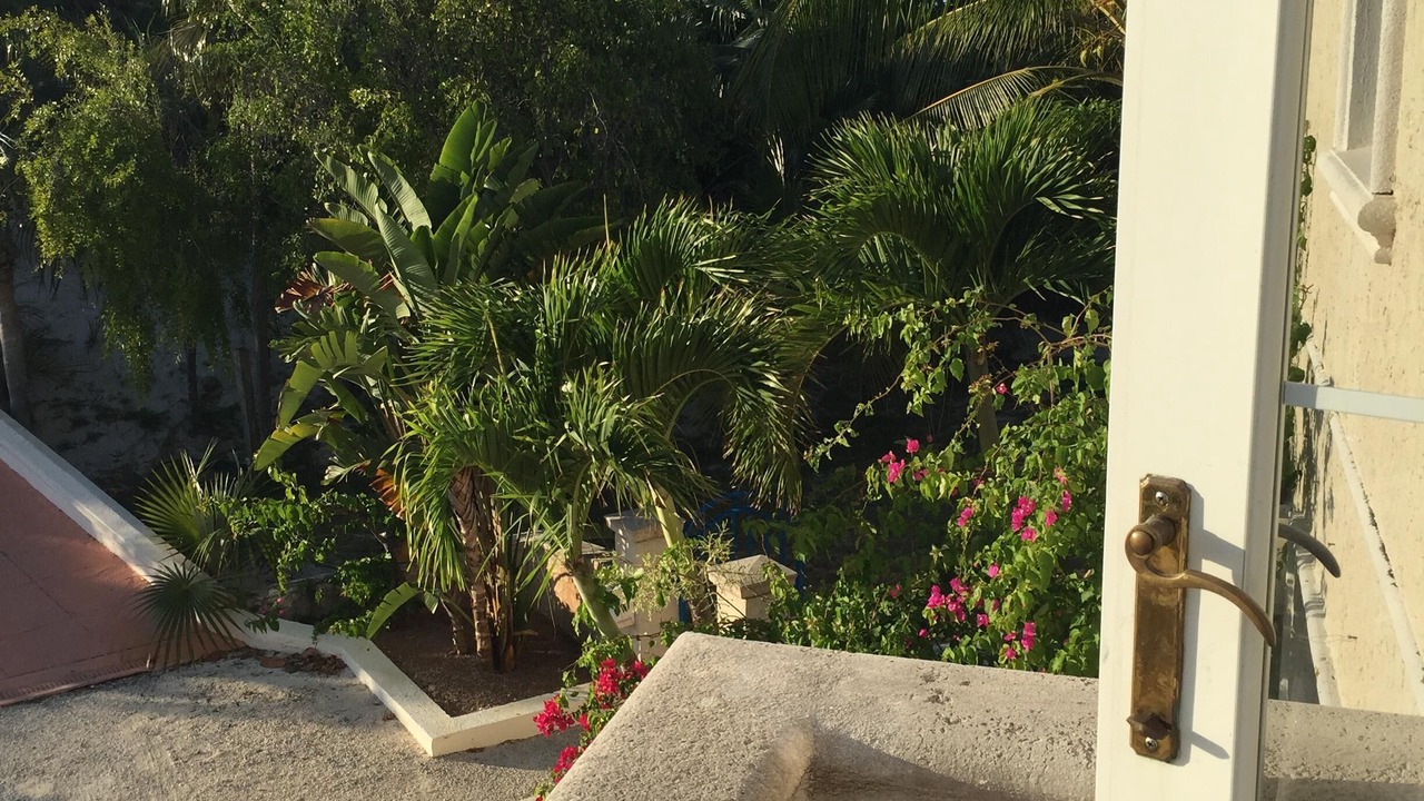 Photo of Patio Balcony in Double Bay