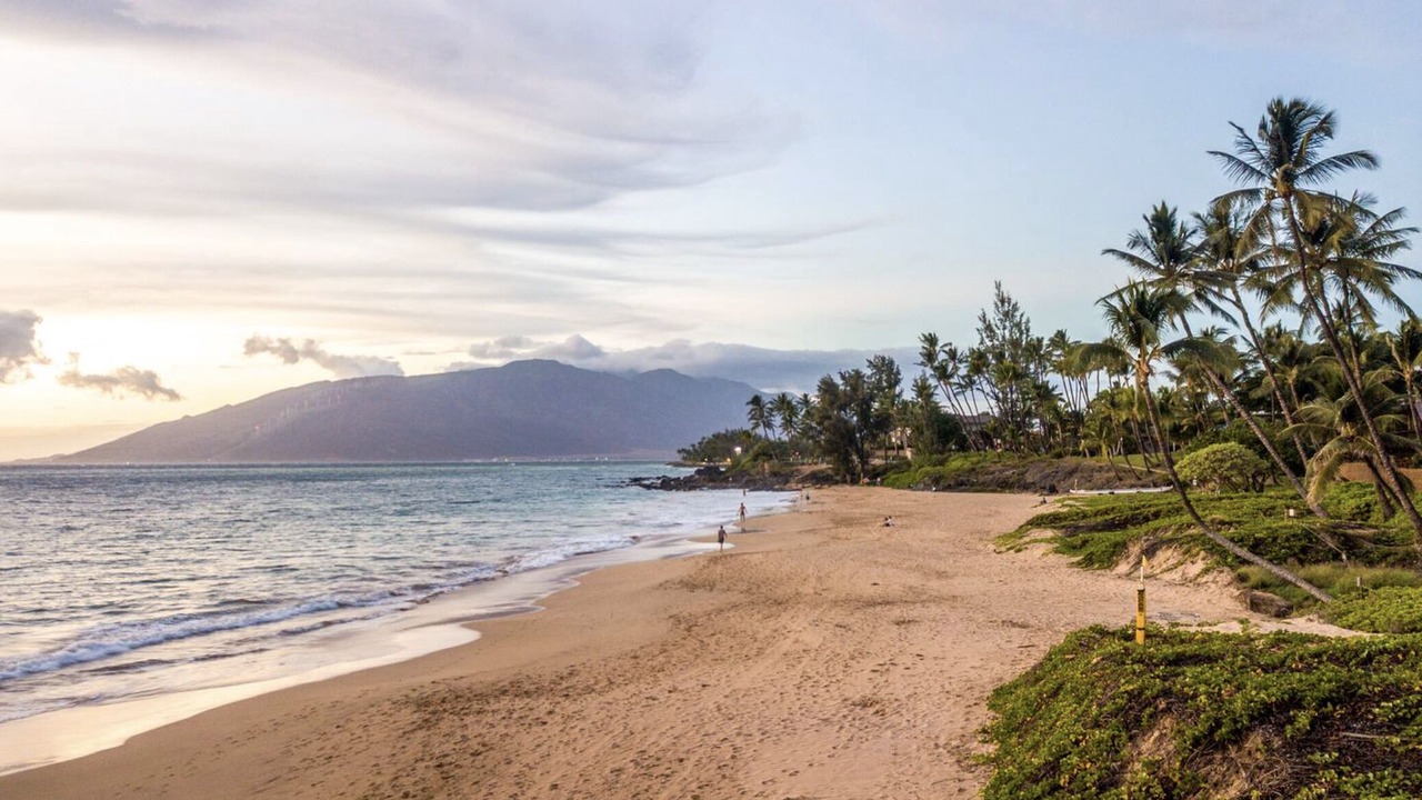 Photo of Others in Kihei