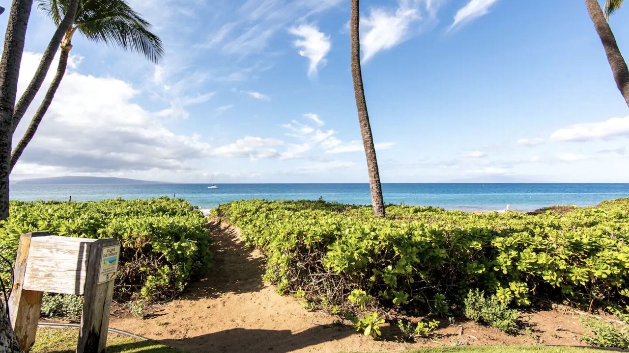 Photo of Others in Kihei