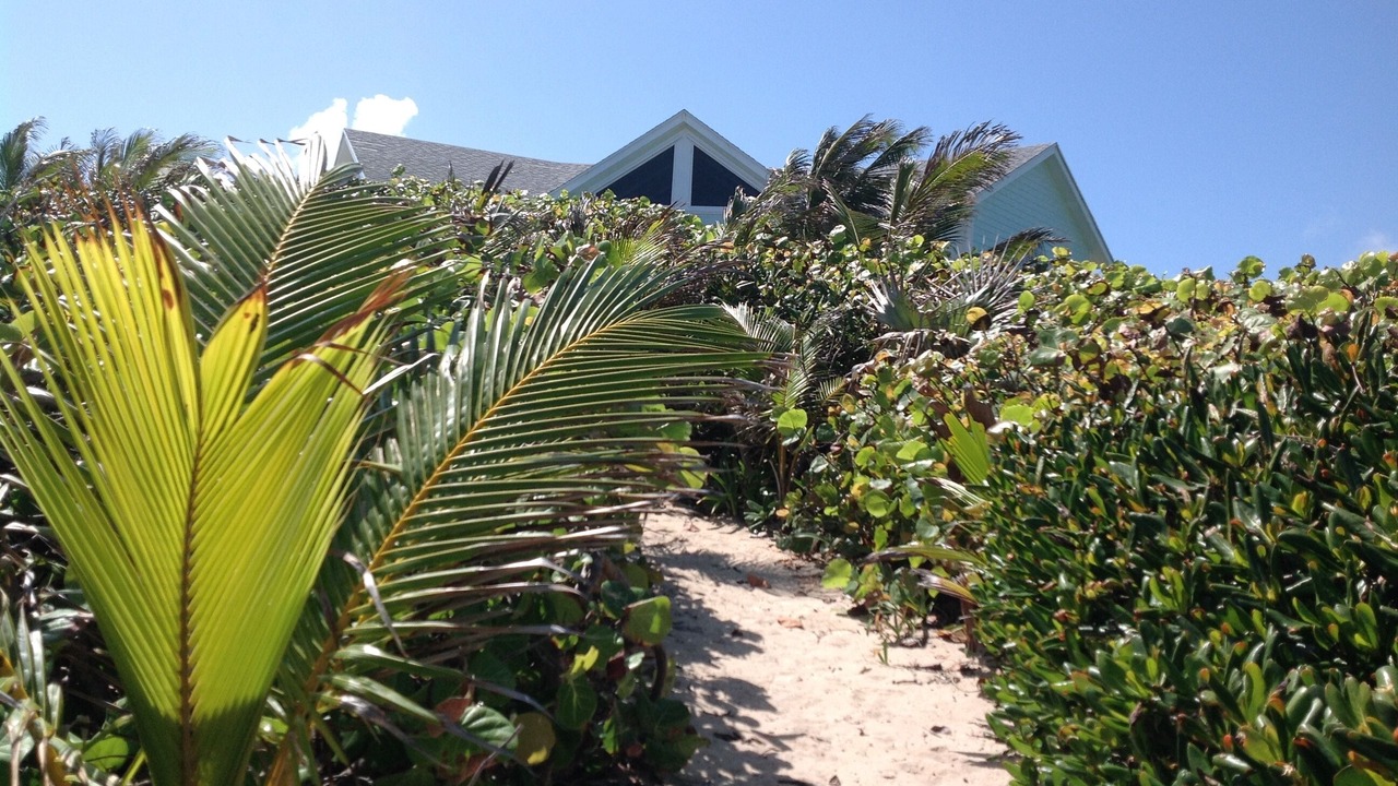 Photo of Outdoor in Clarence Town