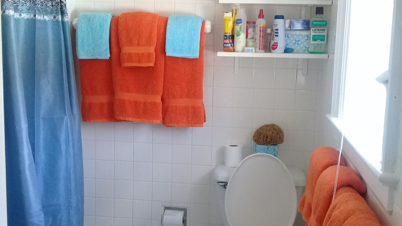 Photo of Bathroom in Rock Sound