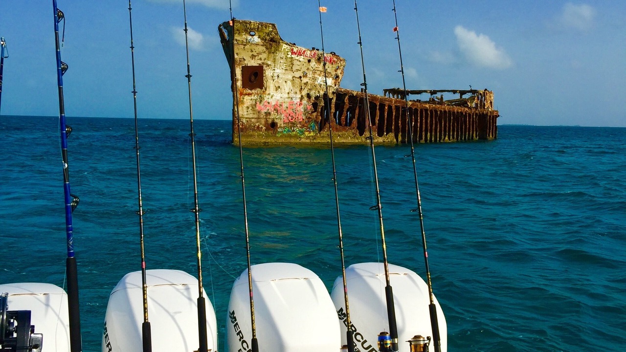 Photo of Others in South Bimini