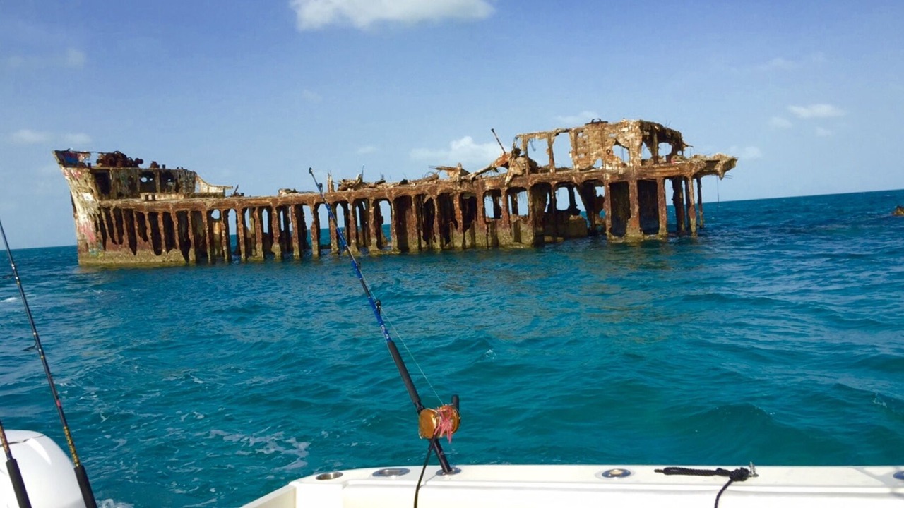 Photo of Others in South Bimini