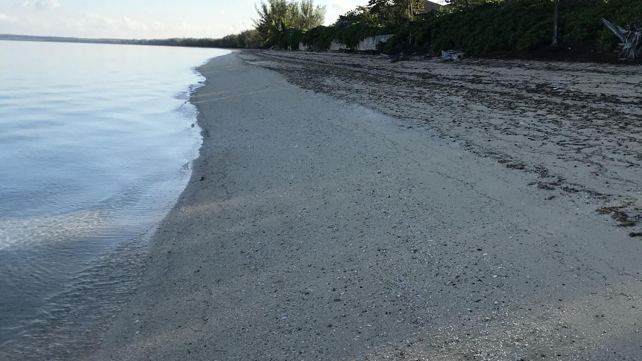 Photo of Others in Tarpum Bay