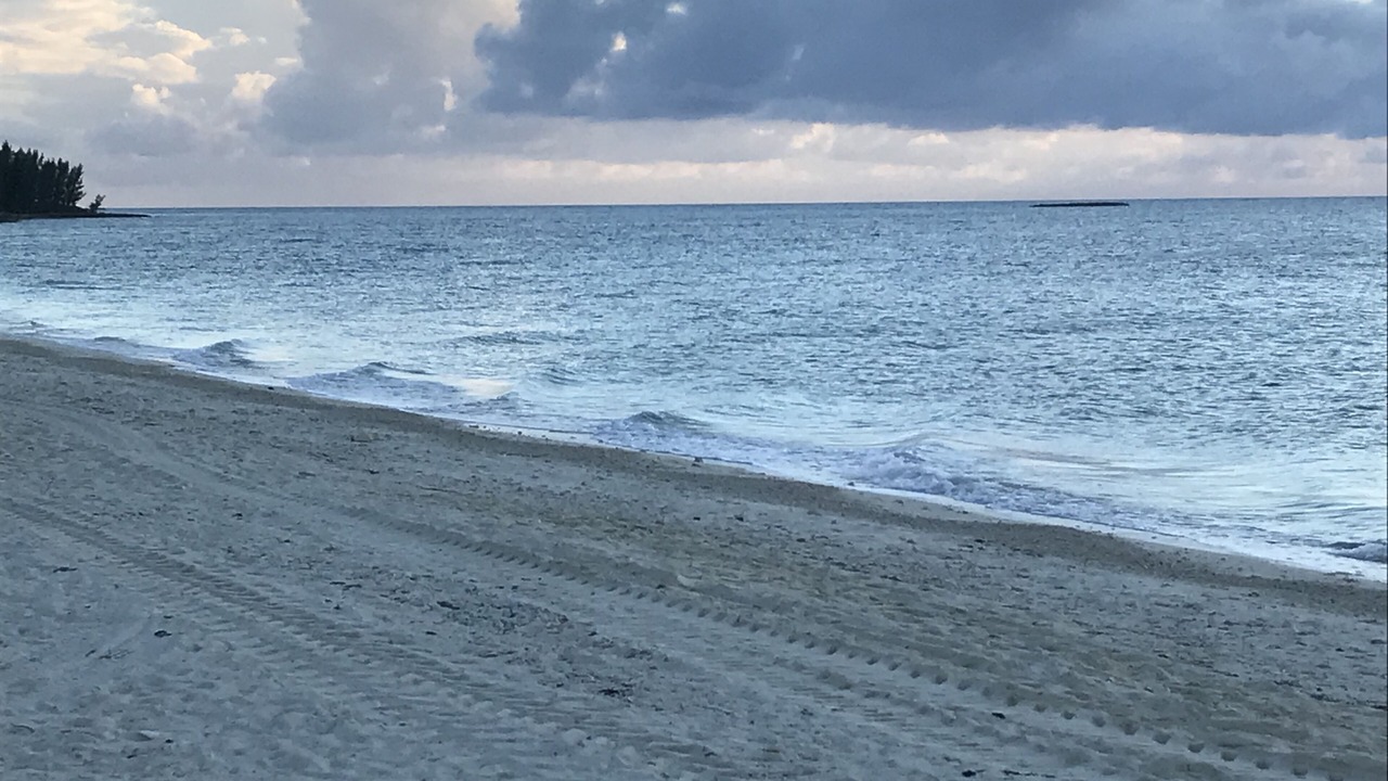 Photo of Others in Tarpum Bay