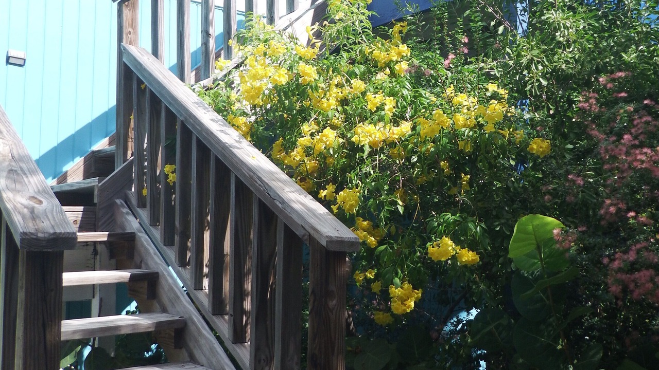 Photo of Outdoor in Forbes Hill