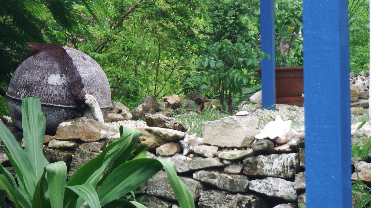 Photo of Outdoor in Forbes Hill