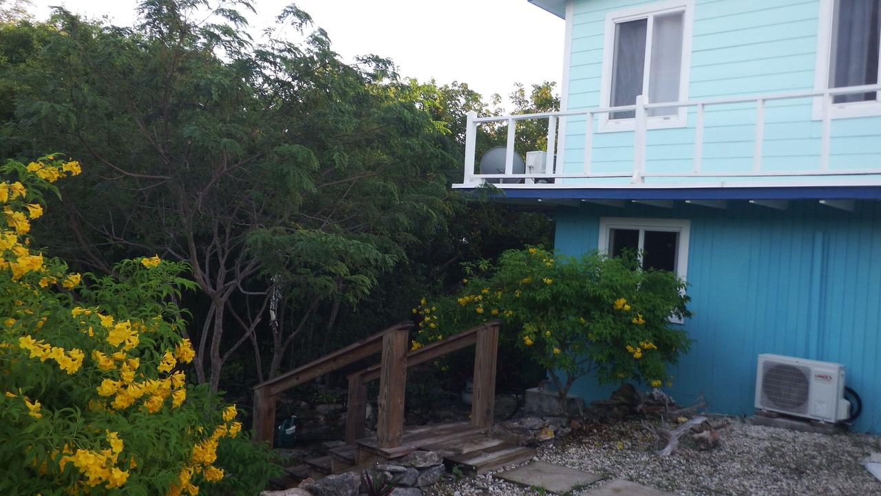Photo of Outdoor in Forbes Hill