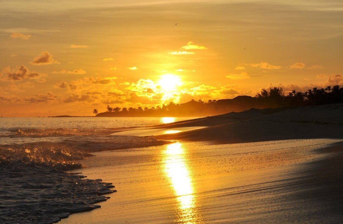 Photo of Others in Paradise Island