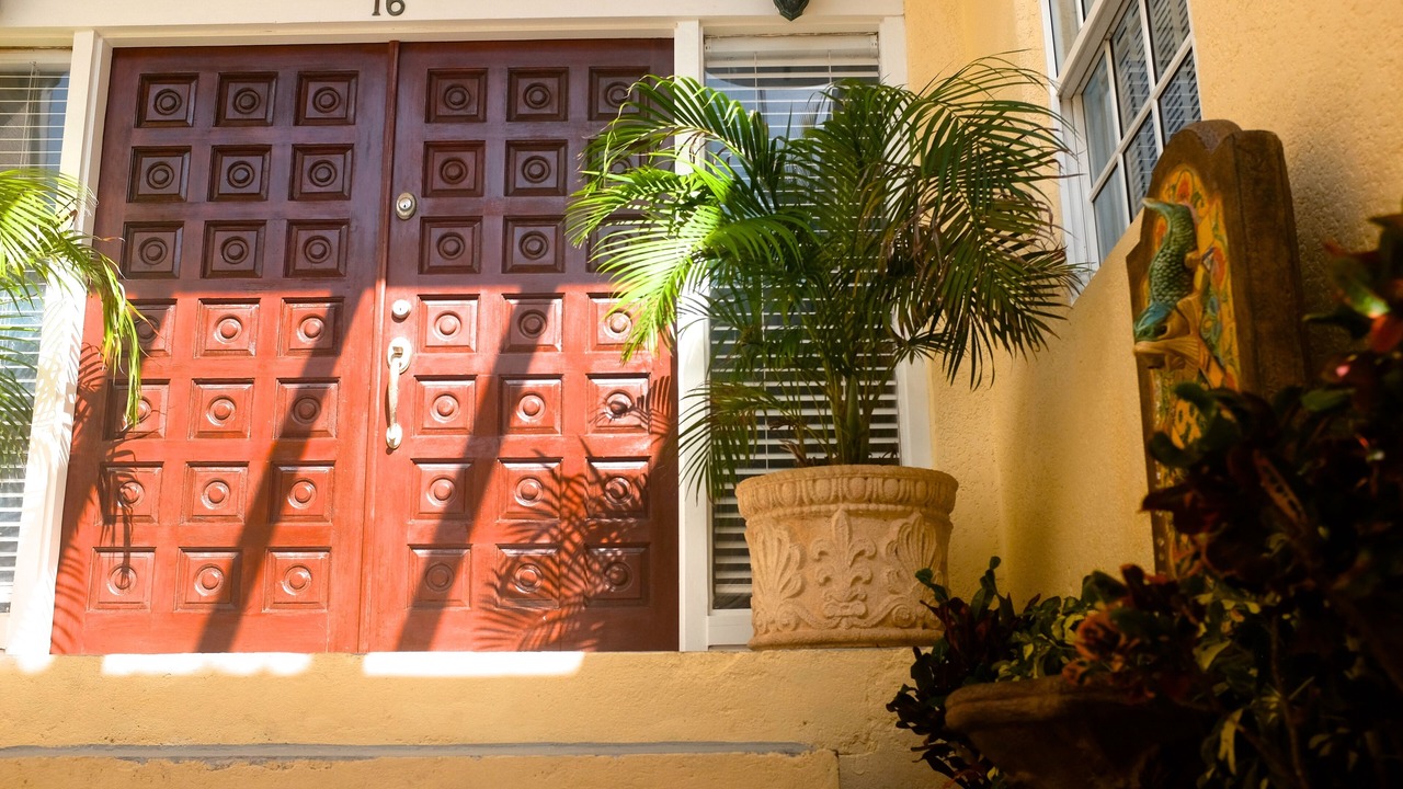 Photo of Outdoor in Paradise Island