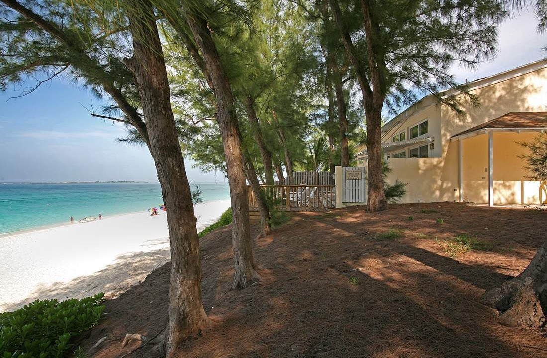 Photo of Others in Paradise Island