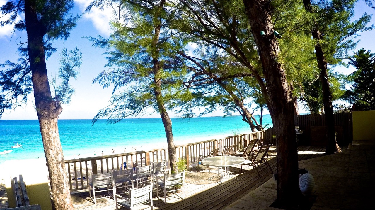 Photo of Others in Paradise Island