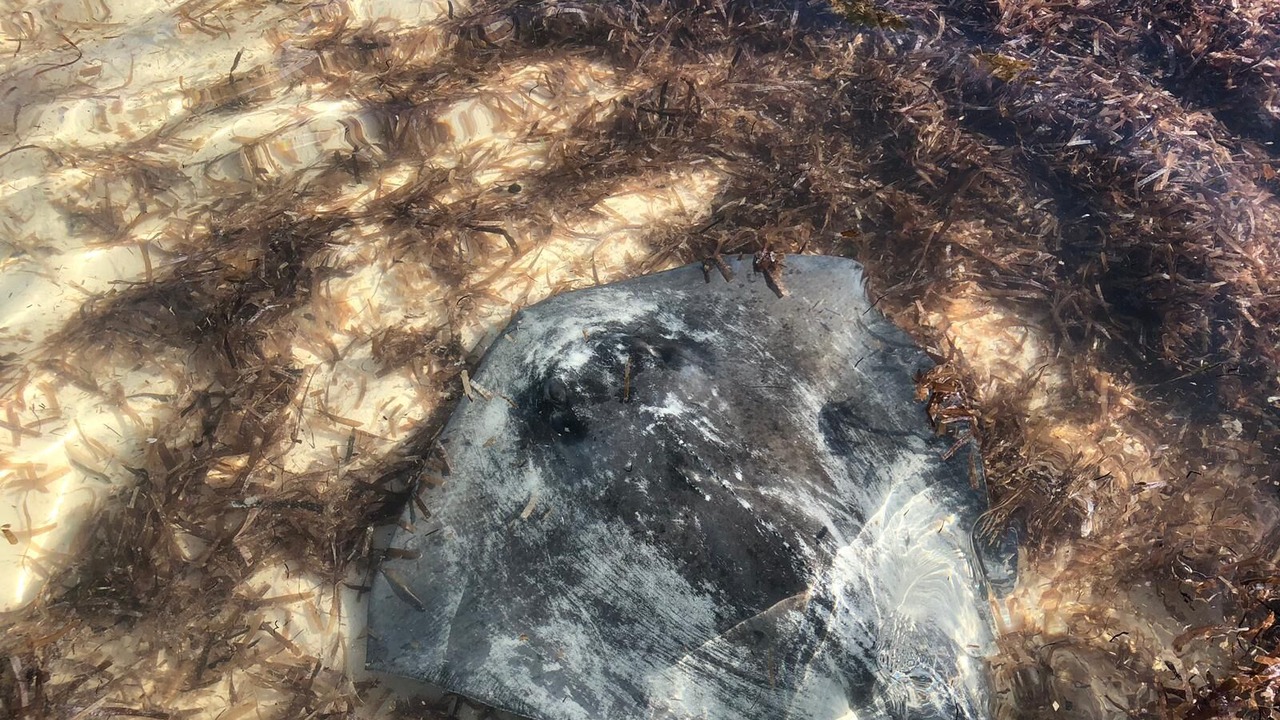 Photo of Outdoor in Bahama Palm Shores