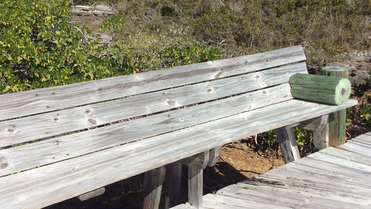 Photo of Outdoor in Bahama Palm Shores