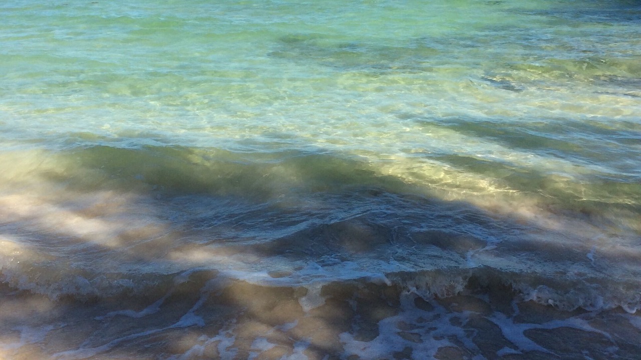 Photo of Others in Bahama Palm Shores