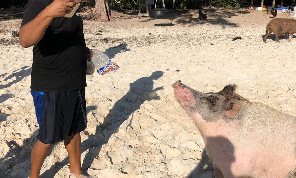 Photo of Others in Bahama Palm Shores