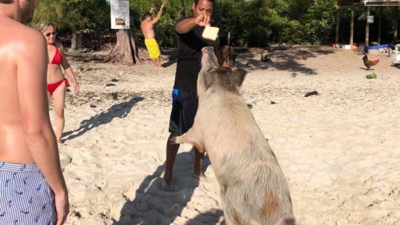 Photo of Others in Bahama Palm Shores