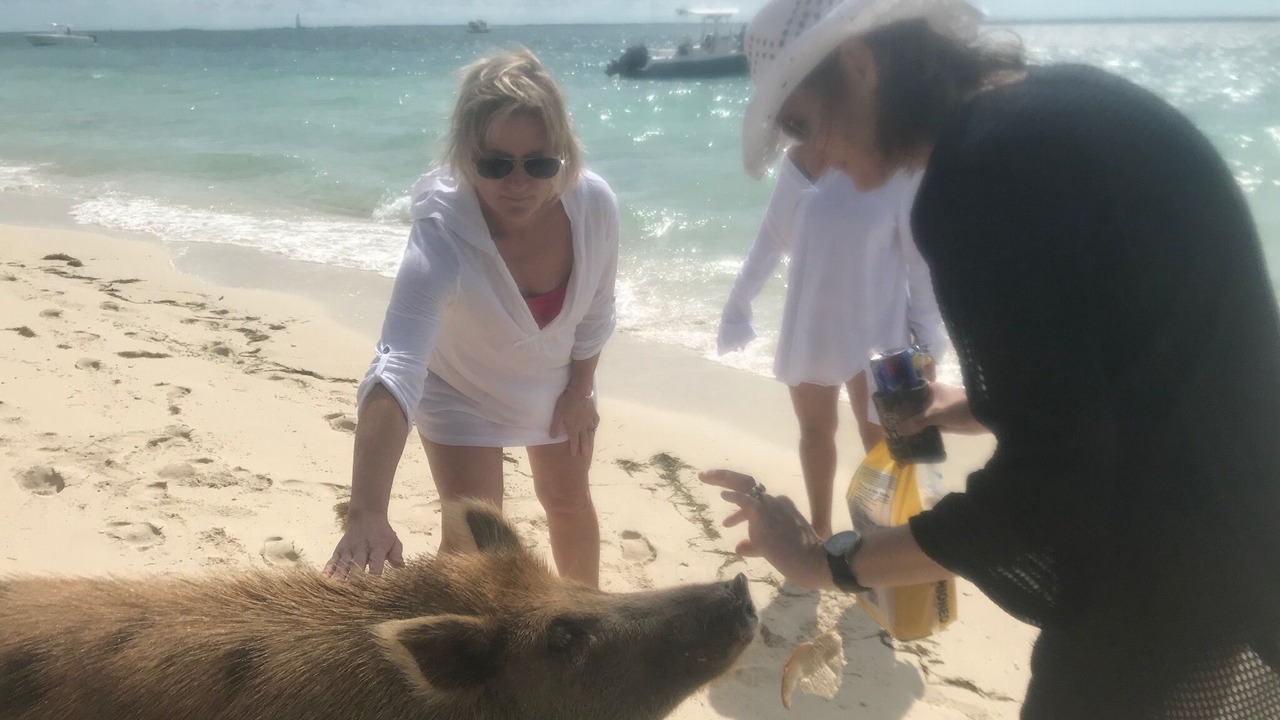 Photo of Others in Bahama Palm Shores
