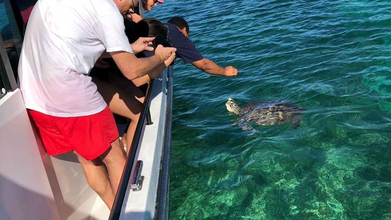 Photo of Others in Bahama Palm Shores