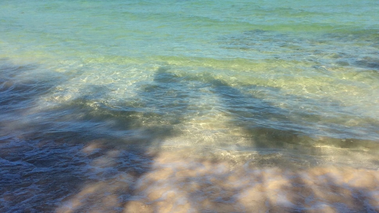 Photo of Others in Bahama Palm Shores
