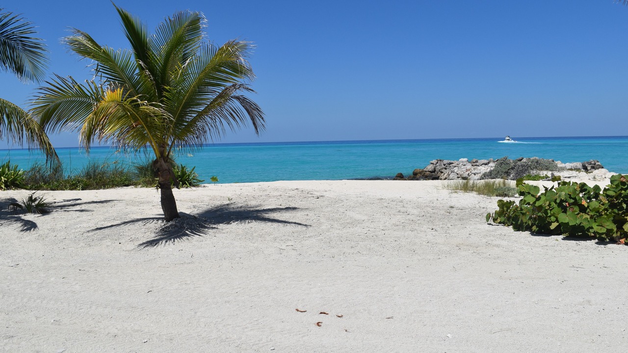 Photo of Others in South Bimini