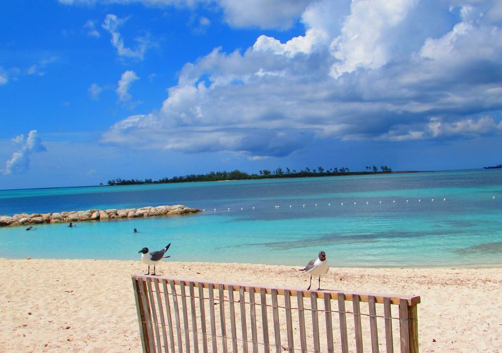 Photo of Others in Nassau