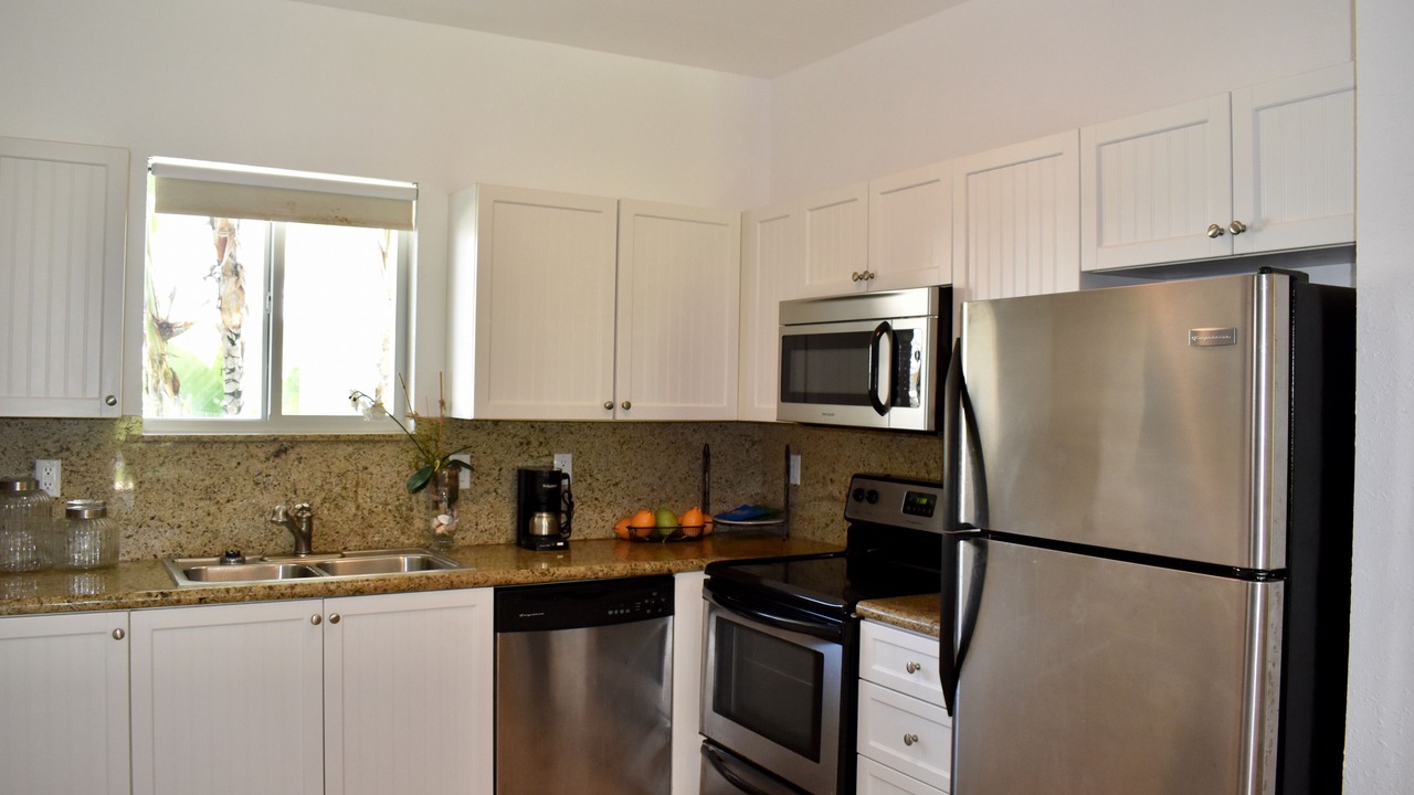 Photo of Kitchen in Alice Town