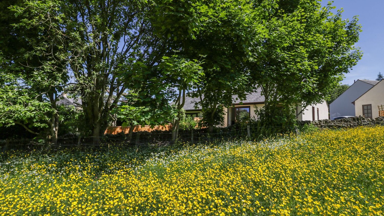 Photo of Outdoor in Catton