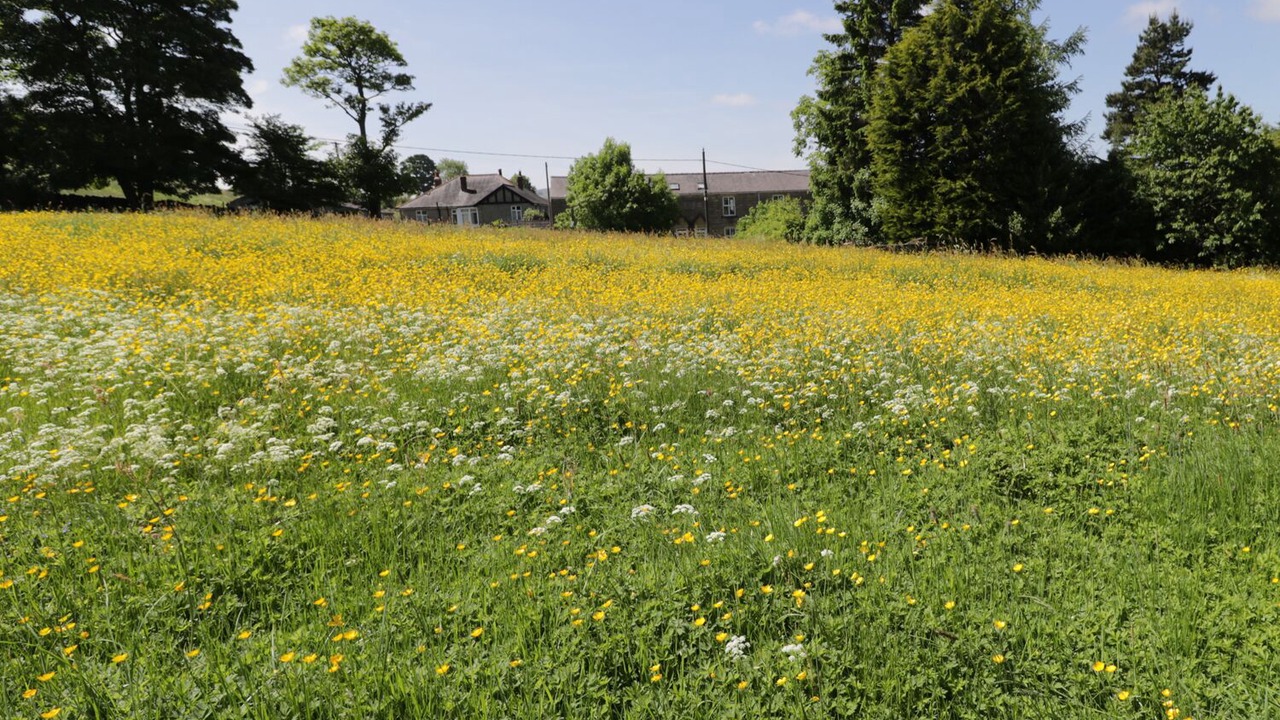 Photo of Outdoor in Catton