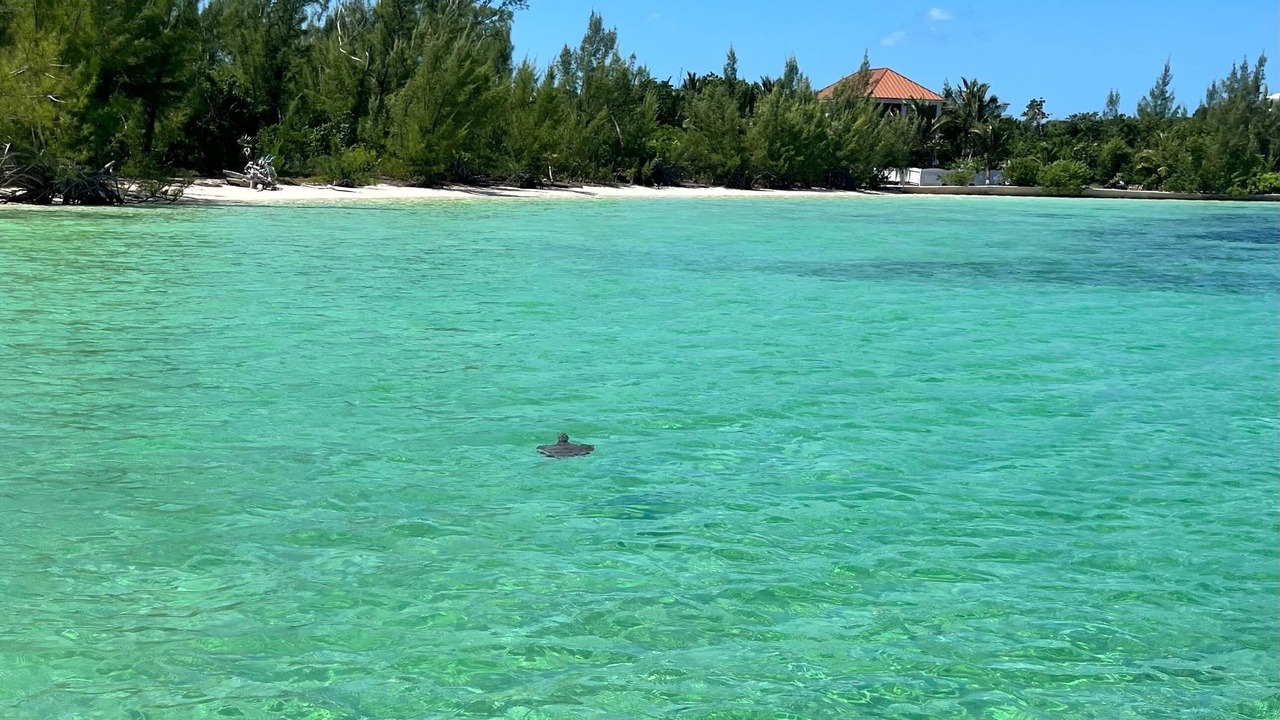 Photo of Others in Green Turtle Cay