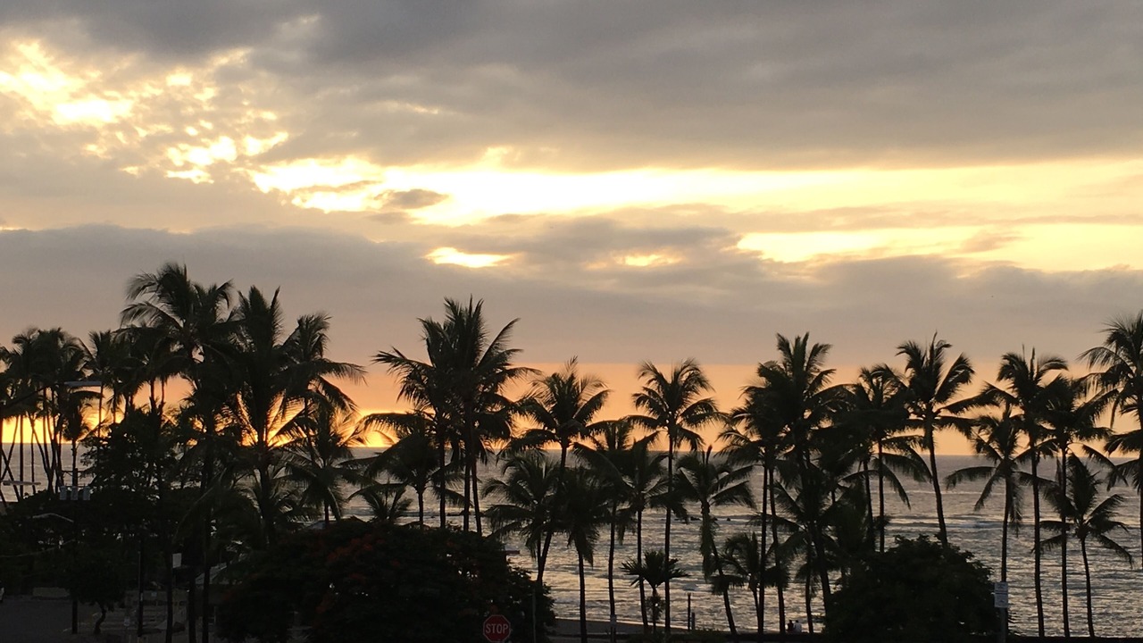 Photo of Others in Kahaluu Bay