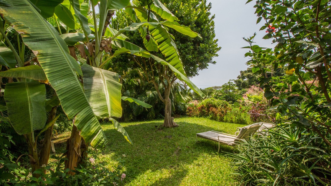 Photo of Others in Honaunau-Napoopoo