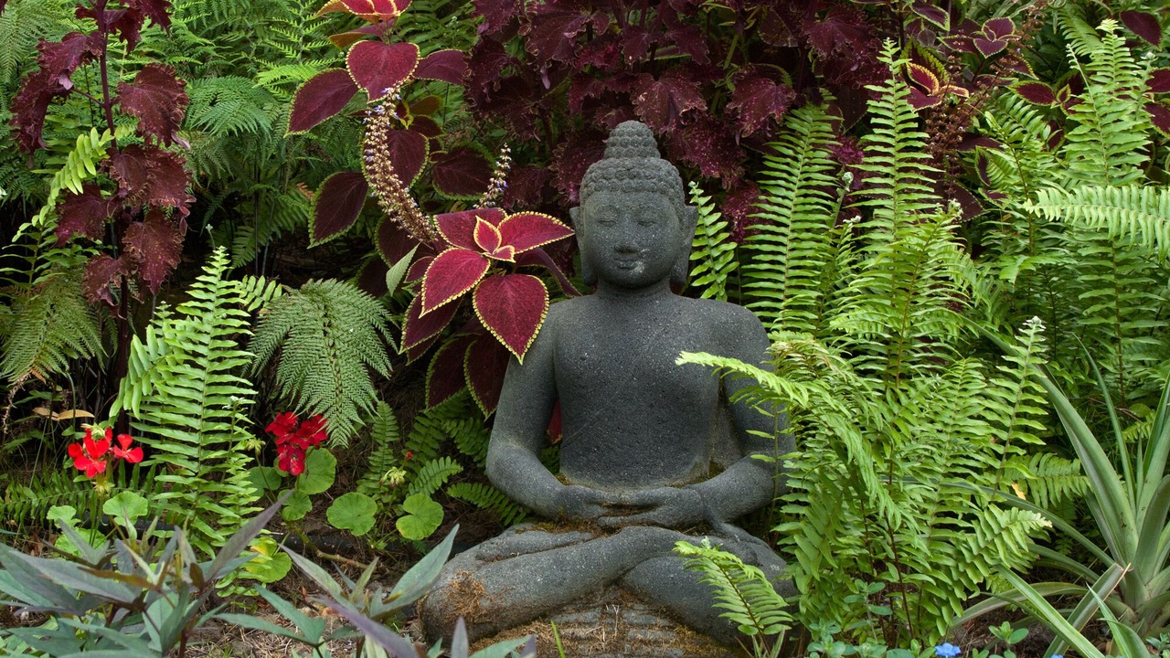 Photo of Others in Honaunau-Napoopoo