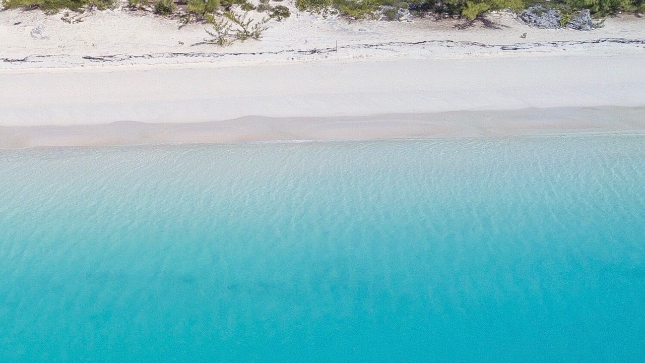 Photo of Others in Pigeon Cay