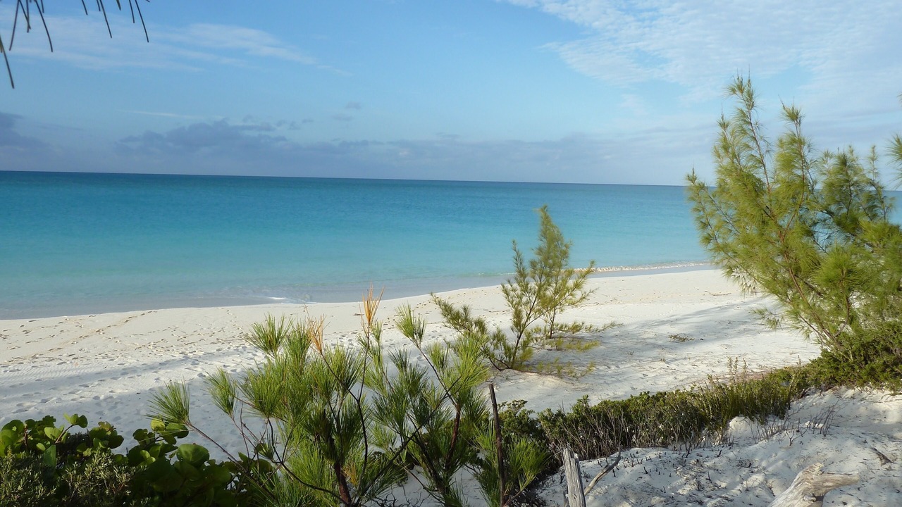 Photo of Others in Pigeon Cay