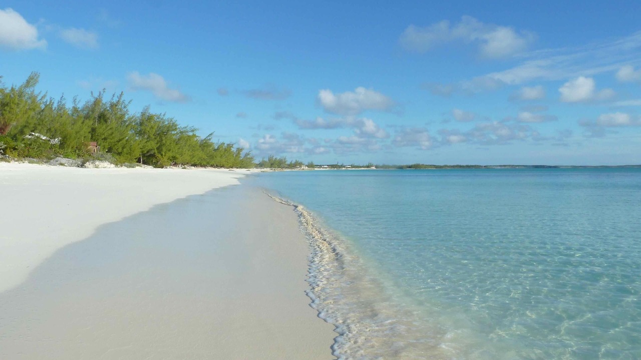 Photo of Others in Pigeon Cay