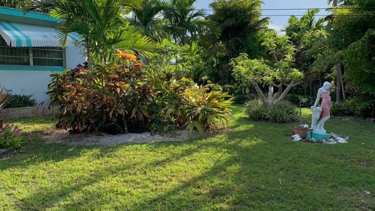 Photo of Others in Nassau