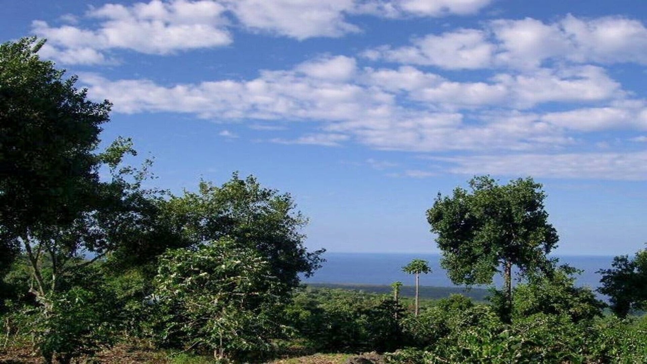 Photo of Others in Honaunau-Napoopoo