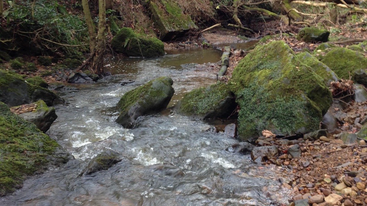 Photo of Outdoor in Ruswarp