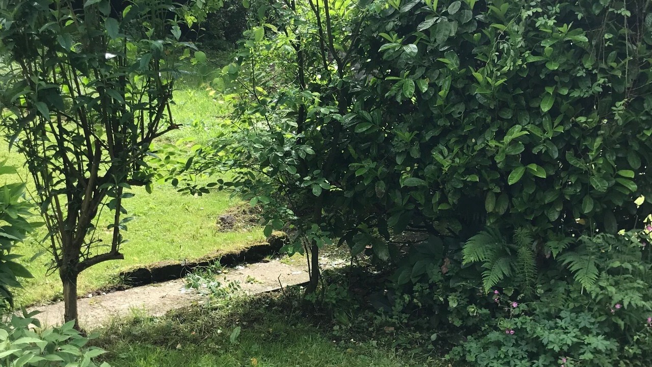 Photo of Outdoor in Ruswarp