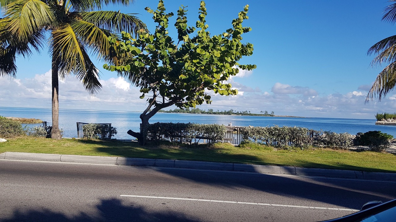 Photo of Others in Nassau