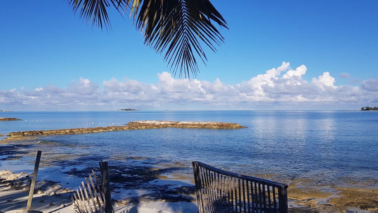 Photo of Others in Nassau