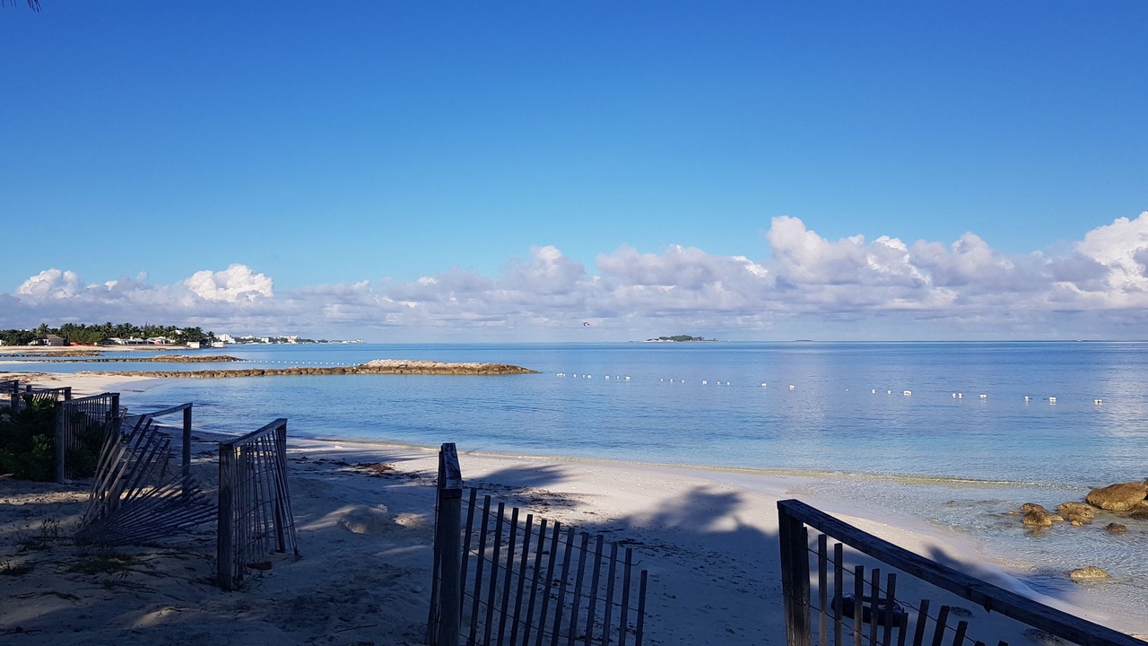 Photo of Others in Nassau