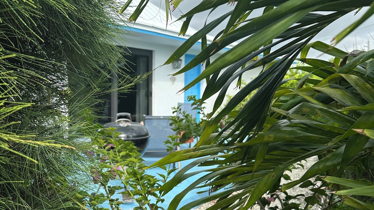 Photo of Outdoor in Treasure Cay