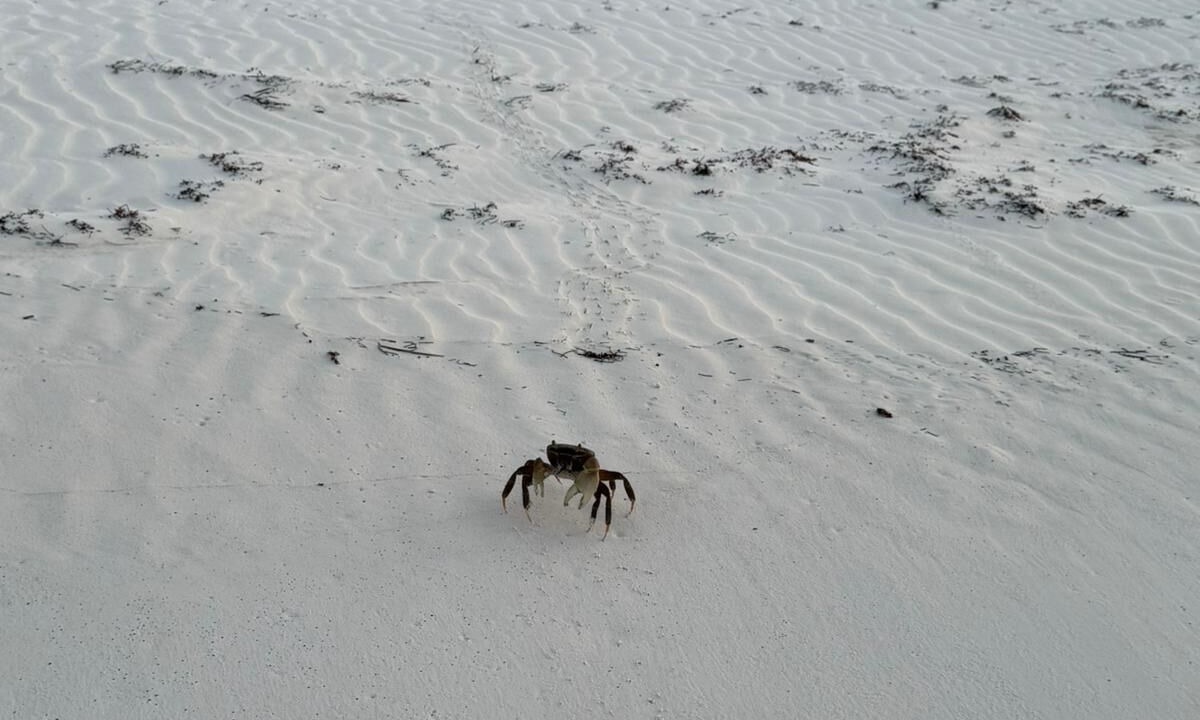 Photo of Others in Treasure Cay
