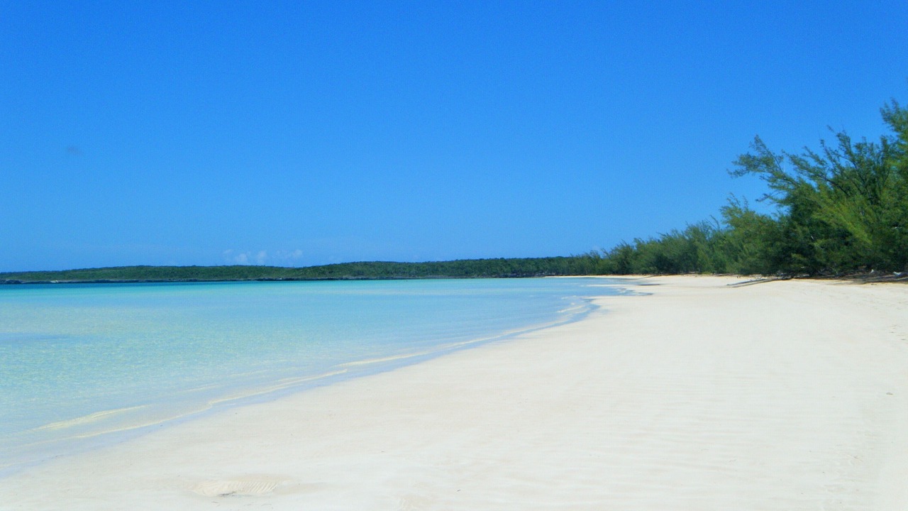 Photo of Others in South Palmetto Point