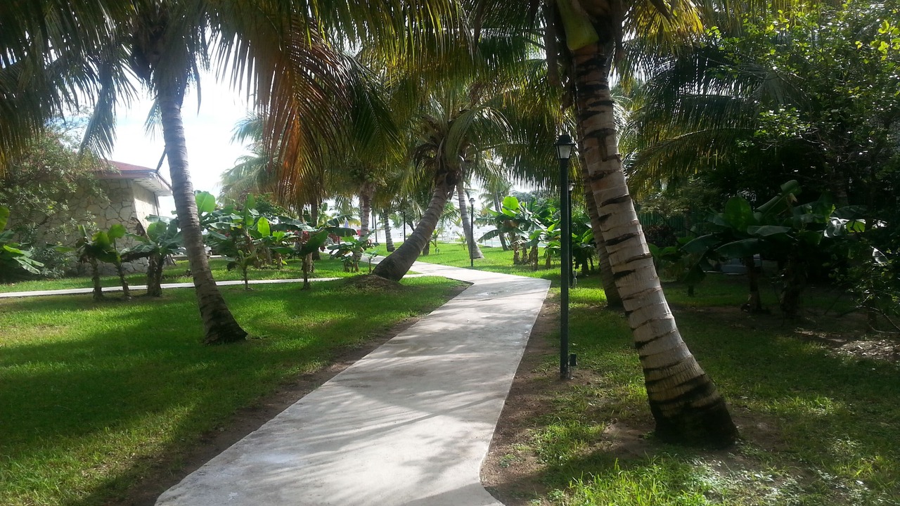 Photo of Outdoor in Williams Town