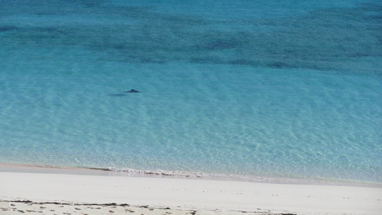 Photo of Others in Great Guana Cay
