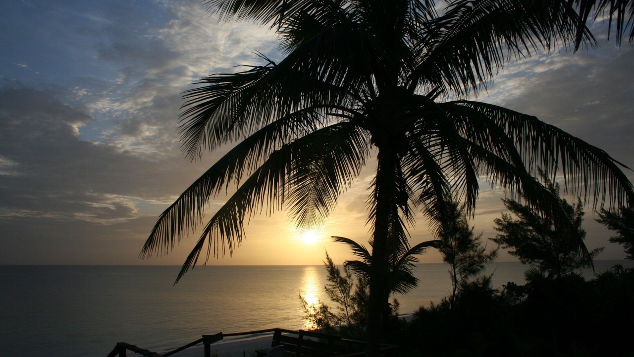 Photo of Others in Great Guana Cay