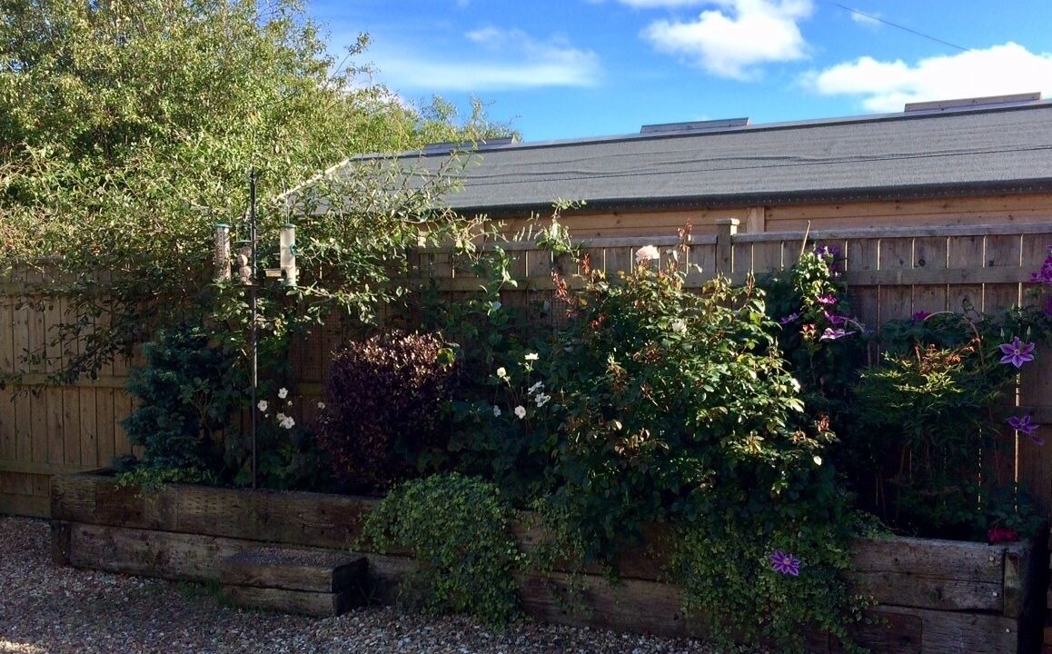 Photo of Outdoor in Bude